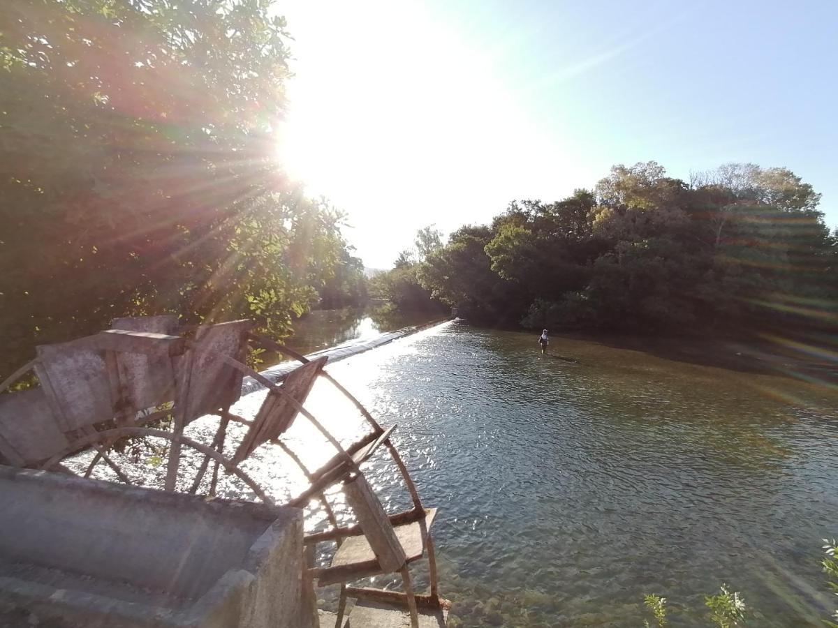 Gite Les Demoiselles Des Sorgues LʼIsle-sur-la-Sorgue Exterior foto