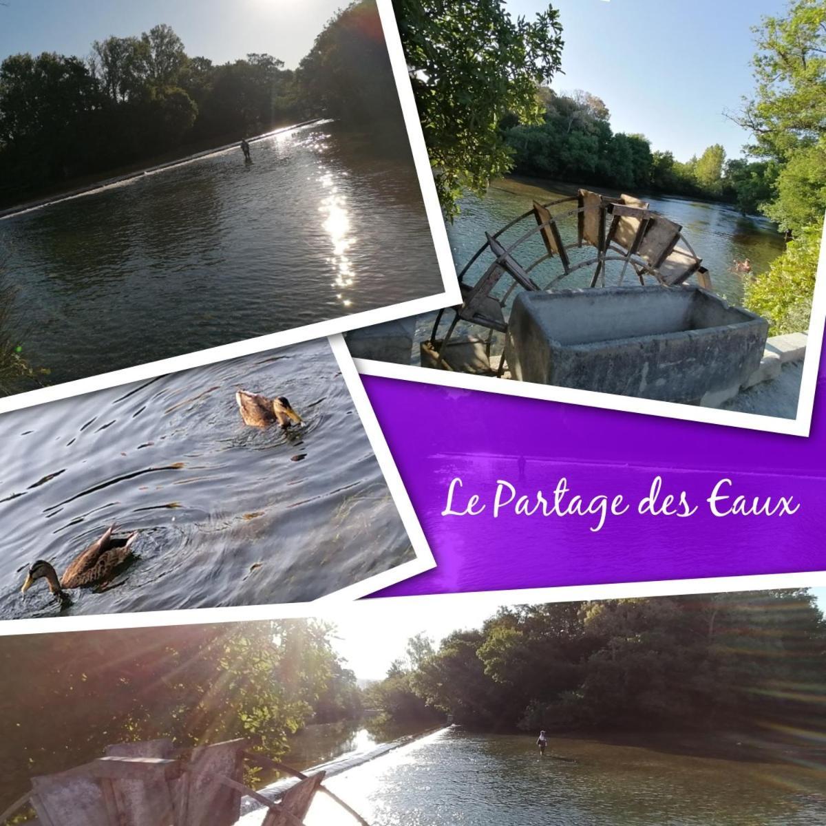 Gite Les Demoiselles Des Sorgues LʼIsle-sur-la-Sorgue Exterior foto